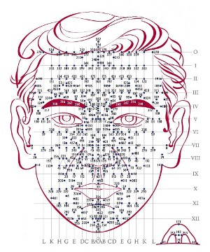 1.dien chan réflexologie faciale face