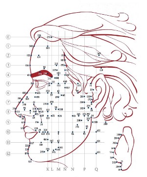 2.reflexologie faciale dien chan profil